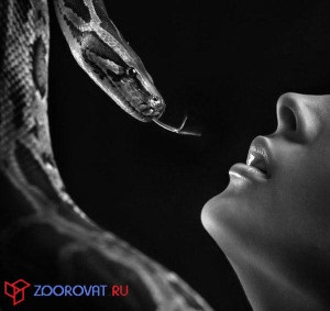 Ofidiofobiya - teama de șerpi, portal despre psihologie și medicină (psihologie) Ofidiofobiya - teama de șerpi, portal despre psihologie și medicină