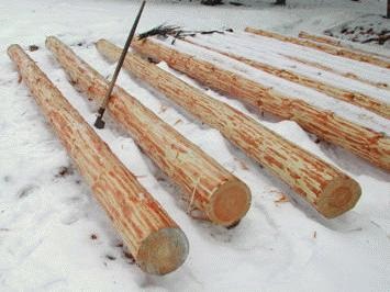 busteni decojiti - este un set de instrucțiuni de instalare video cu mâinile lor, ce să facă în cazul în care (lor) busteni decojiti - este un set de instrucțiuni de instalare video cu mâinile lor, ce să facă în cazul în care