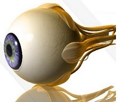 Sistemul optic al ochiului - structura si functia, diagnostic si boala - site-ul - Moscova (optic) Sistemul optic al ochiului - structura si functia, diagnostic si boala - site-ul - Moscova