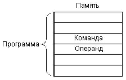 organizarea memoriei