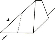 Origami Wolf schemă - diagrama de asamblare origami de etape (schema) schema de lup Origami - schema de asamblare pas cu pas origami