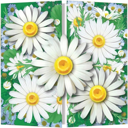 ambalaj cadou original cu mâinile (original) Original ambalaj mâinile sale