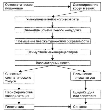 hipotensiune arterială ortostatică adică, cauzele, simptomele, tratamentul, diagnosticarea, prevenirea (tratament) hipotensiune arterială ortostatică care este, cauze, simptome, tratament, diagnosticarea, prevenirea