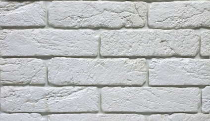 Decorarea pereții de piatră în sala - instrucțiunile detaliate (sala de decor de piatră de perete) Decorarea pereții de piatră, în holul de la intrare - instrucțiuni detaliate