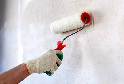 Decorarea pereții de piatră în sala - instrucțiunile detaliate (sala de decor de piatră de perete) Decorarea pereții de piatră, în holul de la intrare - instrucțiuni detaliate