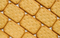 Primul cookie din istoria omenirii (primul) Primul cookie din istoria omului