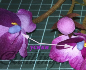 master class detaliate de hârtie de cristal violet (hârtie) Un atelier detaliat de hârtie violet cristal