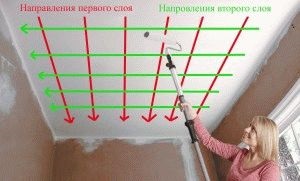 pictura plafon cu rola vopsea latex (plafon vopsea latex) pictura plafon cu rola vopsea latex