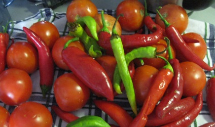 Tomate cu miere pentru iarna - rețete (fotografii, video) (miere) Tomate cu miere pentru iarna - rețete (fotografii, video)