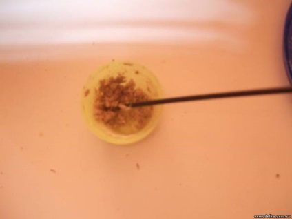 Pulbere de rachete - Homebrew Forum (racheta) racheta Powder - forum Homebrew