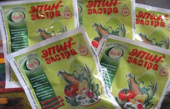 Plantarea și îngrijirea pas cu pas instrucțiunile Sedum, de plantare și îngrijire decât pentru a fertiliza ( „Appin“ producție filmat) Plantarea și îngrijirea pas cu pas instrucțiunile Sedum, de plantare și îngrijire decât pentru a fertiliza
