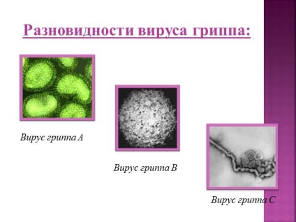 Prezentarea „lupta a organismului la infecții