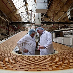 Producerea de biscuiți ca o afacere (de producție a planului de afaceri biscuiți) Producerea de biscuiți ca o afacere