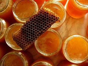 remedii populare Propolis (grade temperatura băii) remedii populare Propolis