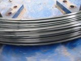 fier conductivă și oțel (carbon) fier și oțel conductivă