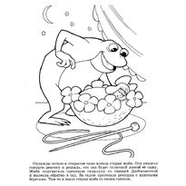 broasca colorat (broasca) colorat broasca