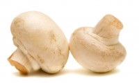 vegana, vegetariene (alimente vegetariene) vegana, vegetarianismul