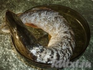 Peștii cu orez la cuptor - pregătirea pas cu pas, cu fotografii (cuptor) Pește cu orez la cuptor - pregătirea pas cu pas, cu fotografii