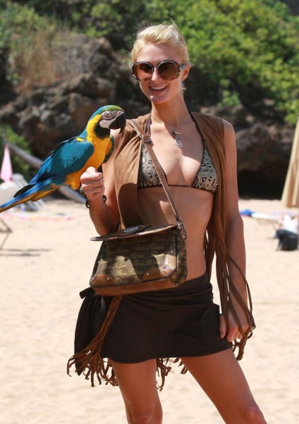 Inaltime si greutate celebritati (Ketrin Zeta Jones) Înălțime și greutate celebrități