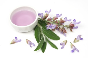 Rosemary părului (glande sebacee) Rosemary par