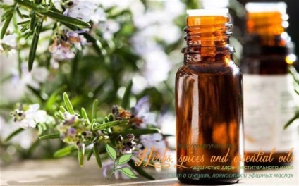 Rosemary par - secrete de frumusete si metode de utilizare (rozmarin) Rosemary par - secrete de frumusete si metode de utilizare