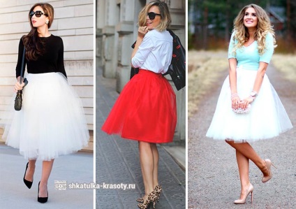 Din ceea ce sa poarte fusta-pachet de 170 de fotografii, Beauty Box (fusta tutu ce sa poarte fata) Din ceea ce sa poarte fusta-pachet de 170 de fotografii, Beauty Box