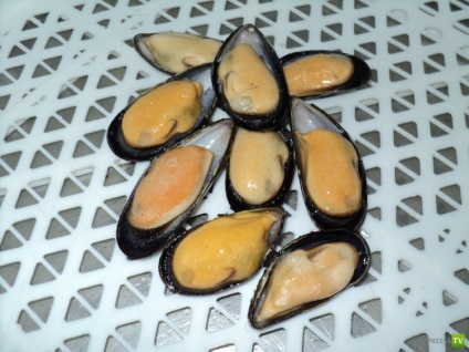 Fructe de mare (midii de ghidare 10 poze) (de ghidare) Fructe de mare (midii de ghidare 10 poze)