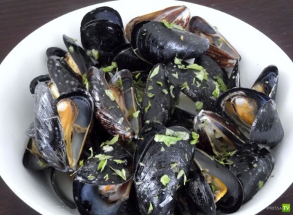 Fructe de mare (midii de ghidare 10 poze) (midii) Fructe de mare (midii de ghidare 10 poze)