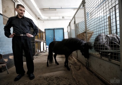 Secretele formatori de ce artiști împotriva circ fara animale (Eugene Kravs UNIAN) Secretele formatori de ce artiști împotriva circ fara animale