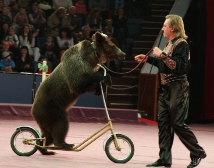 Secretele formatori de ce artiști împotriva circ fără animale (în prezent tur Odesa) Secretele formatori de ce artiști împotriva circ fara animale