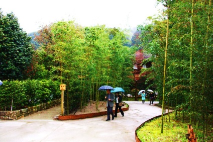 Silver Pavilion Ginkakudzi (Kogetsudai vizualizări platforma) Silver Pavilion Ginkakudzi