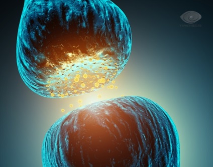Retina, structura, simptomele bolii și tratament posibile (boli) Retinei, structura, simptomele bolii și posibile tratamente
