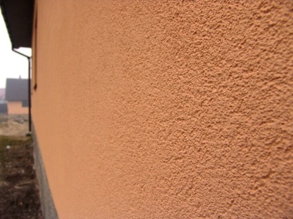 Ciupită ipsos (foto) (woodworm) ipsos ciupită (foto)