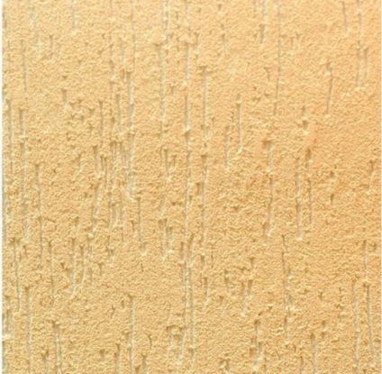 Ciupită ipsos (foto) (woodworm) ipsos ciupită (foto)