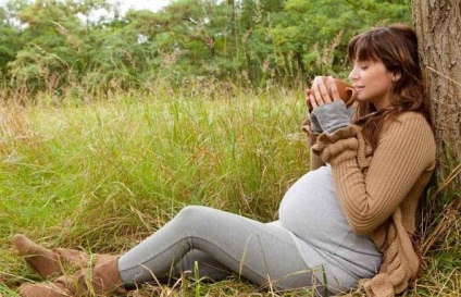 De câte ori pe zi, puteți bea cicoare - cicoare în formă lichidă și cât de mult să bea - băuturi nealcoolice (băuturi de cafea) De câte ori pe zi, puteți bea cicoare - cicoare în formă lichidă și cât de mult să bea - băuturi nealcoolice