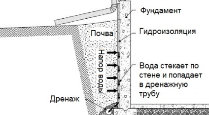 Latent true (TRUE) adevăr ascunse