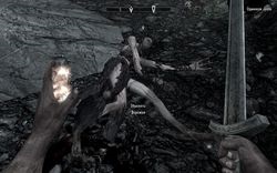 Skyrim - un miracol al naturii