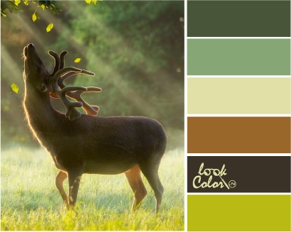 Combinația de culoare chartreuse, lookcolor (amestec) Combinația de culoare Chartreuse, lookcolor