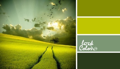 Combinația de culoare chartreuse, lookcolor (amestec) Combinația de culoare Chartreuse, lookcolor