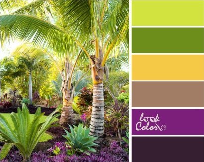 Combinația de culoare chartreuse, lookcolor (amestec) Combinația de culoare Chartreuse, lookcolor
