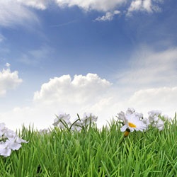 Salvarea 6 moduri nu de vârstă tânără (tânără) Conservarea tineretului 6 moduri de a îmbătrâni