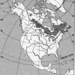 Test de pe Testul privind „America de Nord“