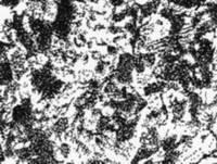 Troostite - un (amestec de cementită ferită) Troost - este