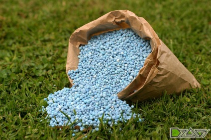 primăvară îngrășăminte (îngrășămînt) fertiliza în primăvară