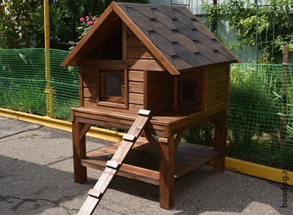 Case în aer liber pisică și cabine din lemn (izolare) Case pisică în aer liber și cabine din lemn