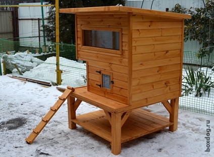 Case în aer liber pisică și cabine din lemn (foto) Case pisică în aer liber și cabine din lemn