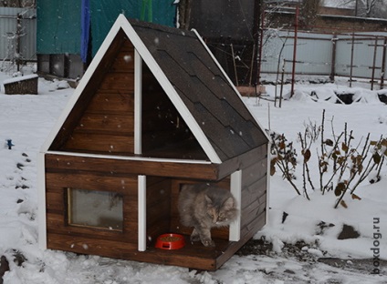 Case în aer liber cat si cabine din lemn (de transport) Case pisică în aer liber și cabine din lemn