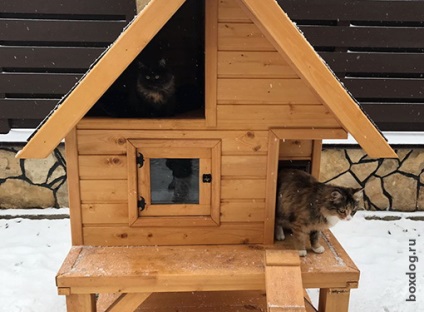 Case în aer liber cat si cabine din lemn (de transport) Case pisică în aer liber și cabine din lemn