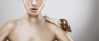 Melcii Achatina de a utiliza în produsele cosmetice (cosmetice) Melci Achatina de a utiliza în produsele cosmetice