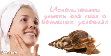Masaj facial, melcii de instrumente și feedback cu privire la aplicarea (o persoană) Masaj facial, melcii de instrumente și comentarii cu privire la aplicarea